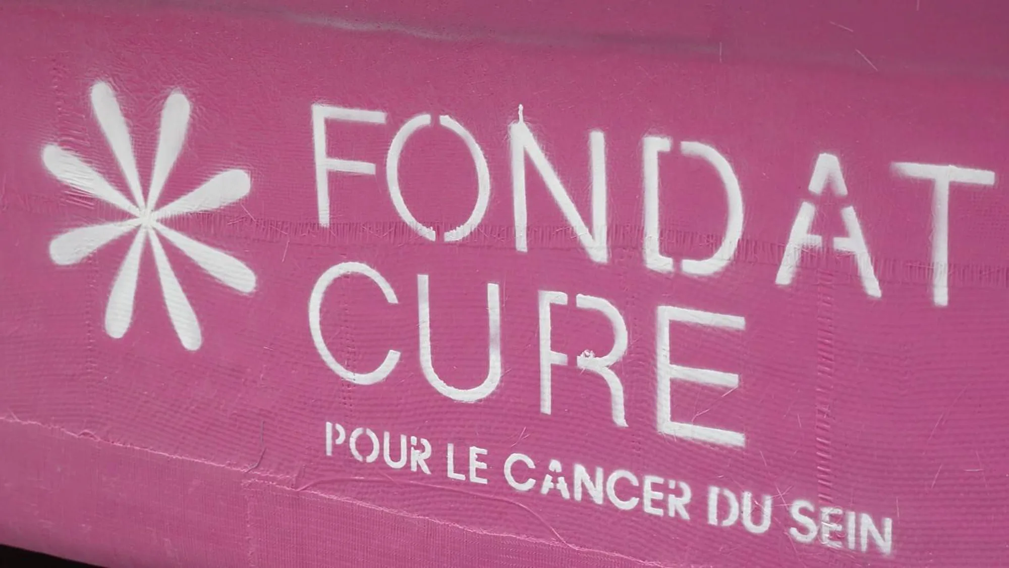 AZORIA CURE FOUNDATION 0003 visuel 100kb