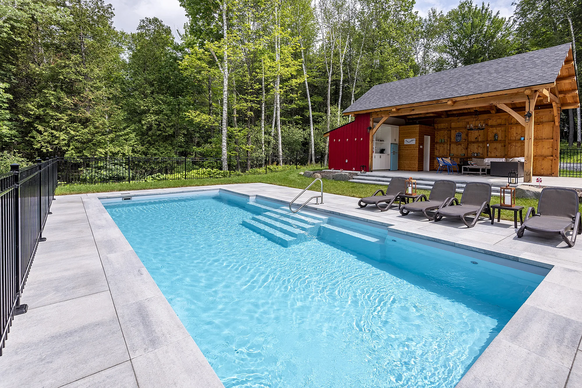 DOLPHIN_BRITANNIA_GRISARCTIQUE_4859