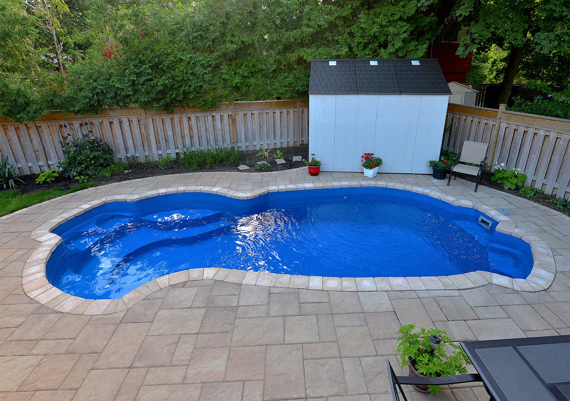 DOLPHIN Darlington Pacific 12x25 003 low