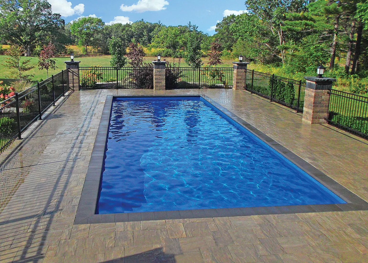 DOLPHIN Kelowna Pacific 16x36 001 low