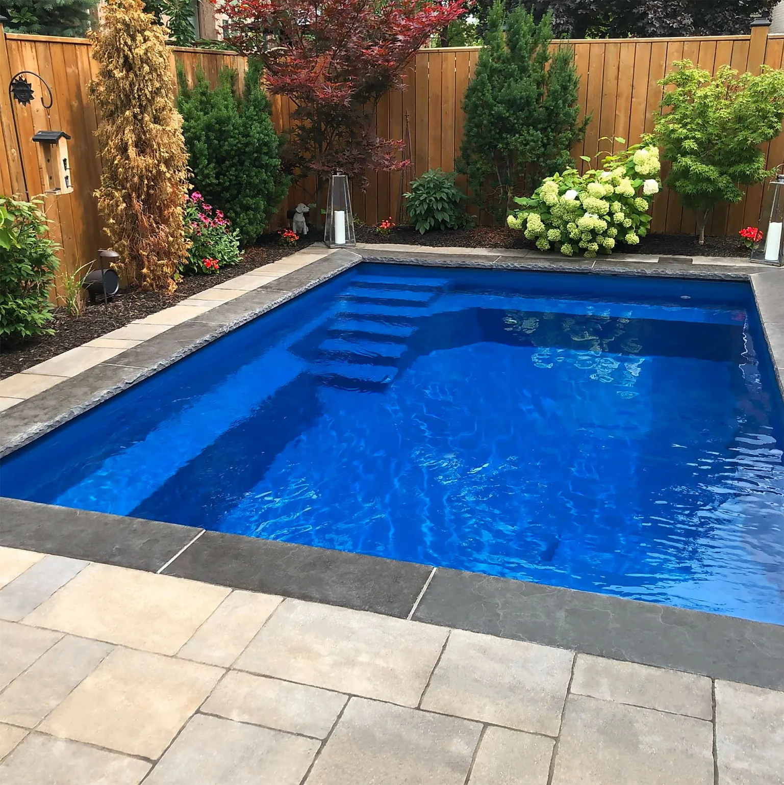DOLPHIN Elora Pacific 12x18 001 low 1
