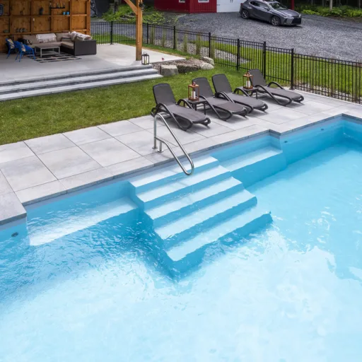 DOLPHIN_BRITANNIA_GRISARCTIQUE_4833