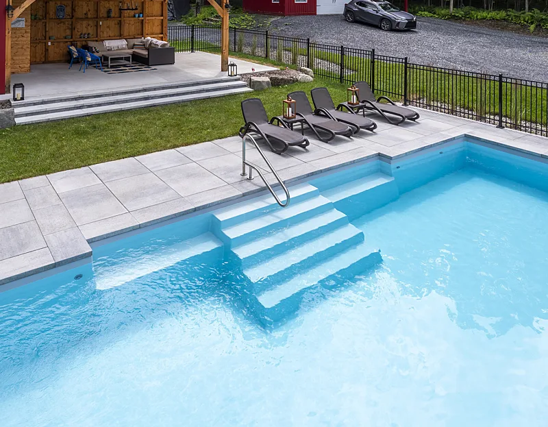 DOLPHIN_BRITANNIA_GRISARCTIQUE_4833