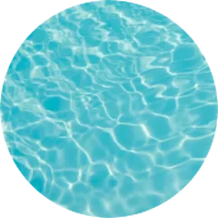 Azoria arctic grey color