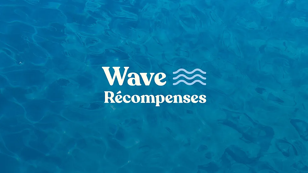 wave_recompenses_logo_background