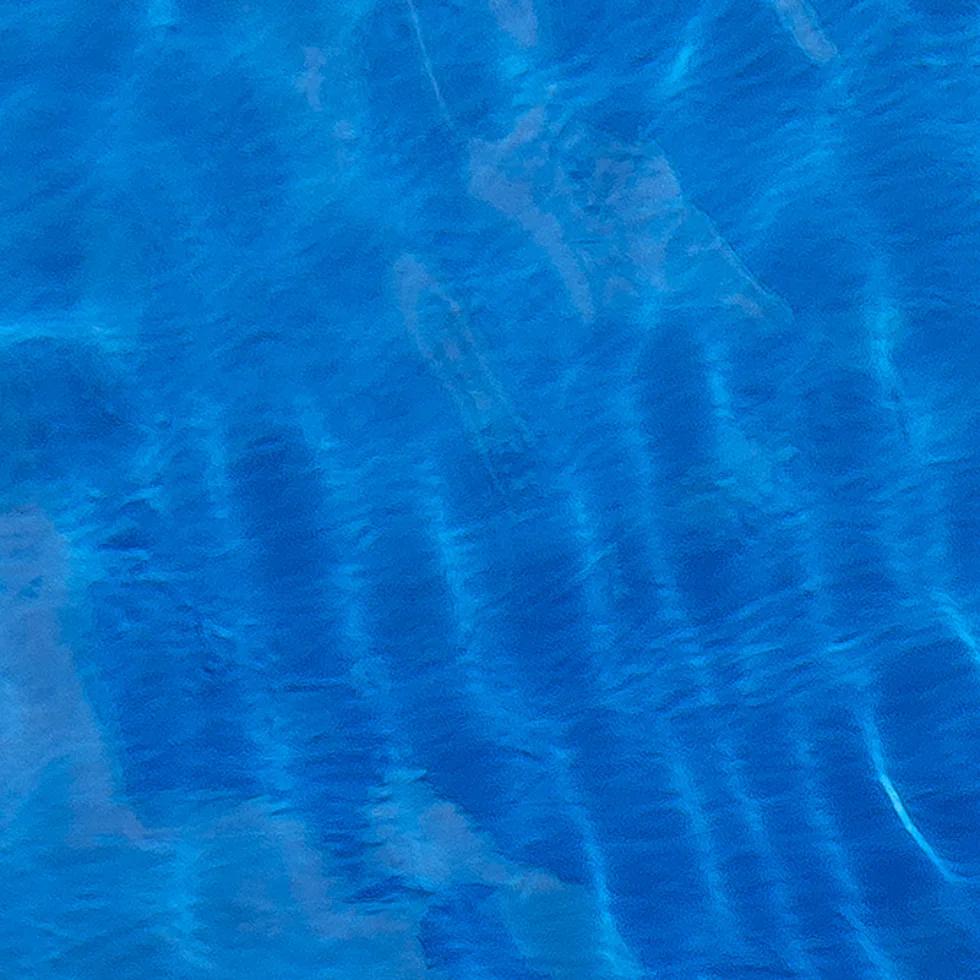 Azoria pacific color
